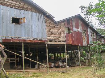 Traditional Long House