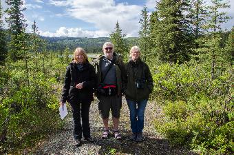 Denali National Park