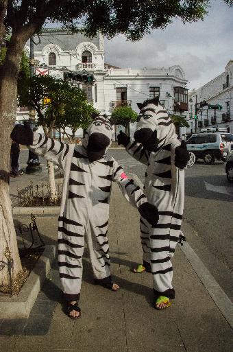 Volunteers to keep the streets safe!