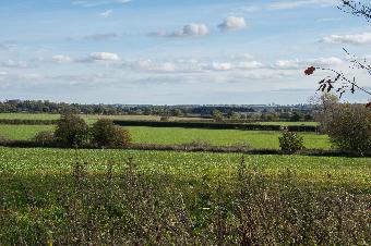 View from Brantham bungalow