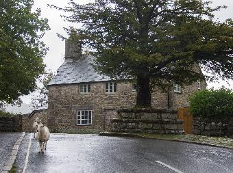 Widecombe-in-the-Moor Devon
