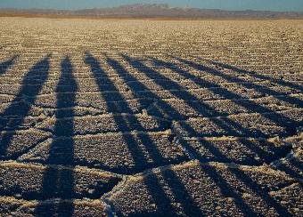 Bolivian Salt Flats