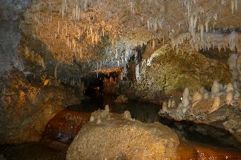 Harrisons Cave