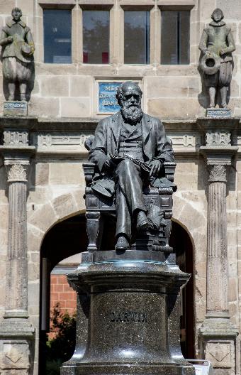 Charles Darwin Shrewsbury